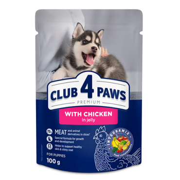 CLUB 4 PAWS PREMIUM FOR PUPPIES “JELLY” – GALINHA. ALIMENTO HÚMIDO PARA CACHORROS