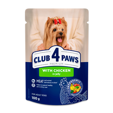 CLUB 4 PAWS PREMIUM “JELLY” – GALINHA. ALIMENTO HÚMIDO PARA CÃES ADULTOS