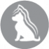 CLUB 4 PAWS PREMIUM FOR PUPPIES “GRAVY” – PERU. ALIMENTO HÚMIDO PARA CACHORROS